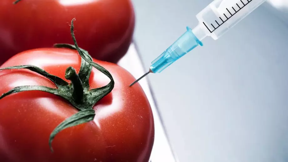 3 лесни начина да различим ГМО от органичната храна
