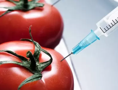 ГМО - истини и митове: Ето какво казва науката