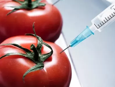 Как да различим ГМО домат: Всеки трябва да знае това 
