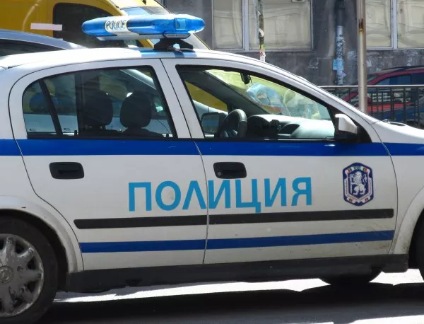 Полицаи от Самоков разкриха кражба на коне