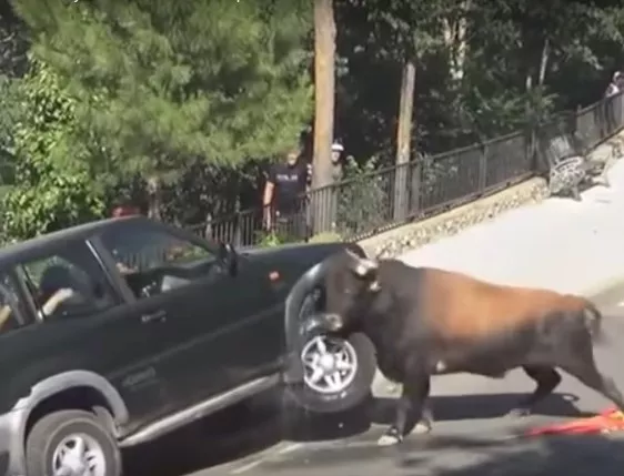 Разярен бик унищожава джип по време на испански фестивал (Видео)