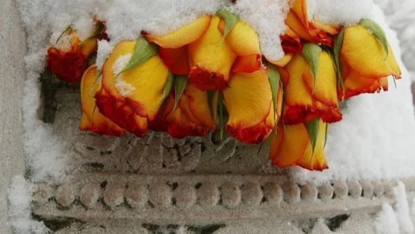 Прогноза за времето -  2 февруари (петък)