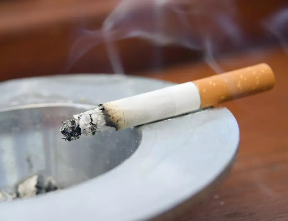KPMG: България е с най-ниското потребление на фалшиви и контрабандни цигари в ЕС