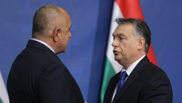 Номерът на унгарката