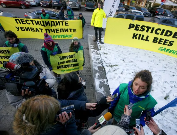 От "Грийнпийс" протестираха срещу опасните за пчелите пестициди