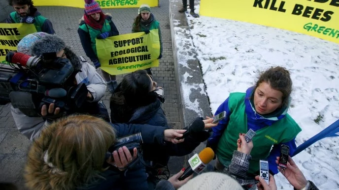 От "Грийнпийс" протестираха срещу опасните за пчелите пестициди