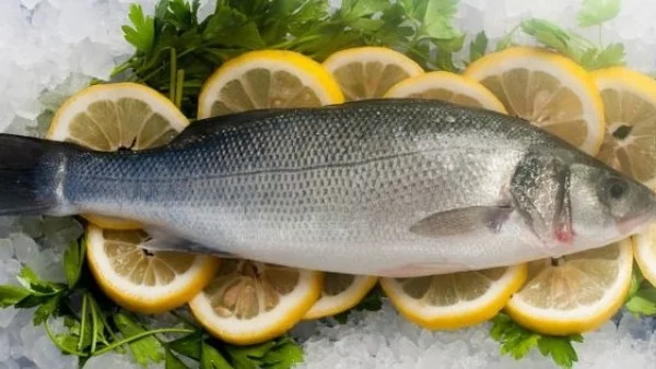 Концентрацията на токсични химични елементи в черноморските риби намалява
