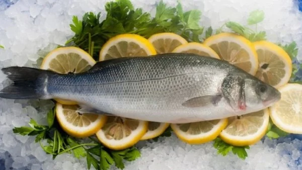 Все повече българи избират риба с мисъл за природата