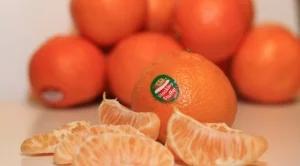 Въвеждат нови правила за етикетирането на органични храни 