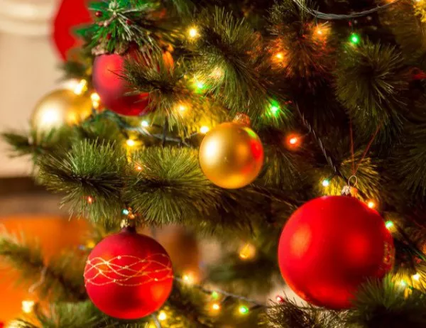Коледната елха в Добрич ще светне на 5 декември