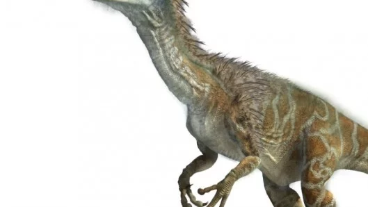 Откриха динозавърска опашка, запазена в кехлибар