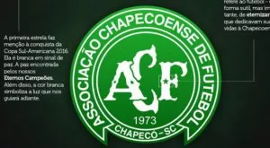 Неопитен пилот е причината за самолетната катастрофа с Чапекоензе