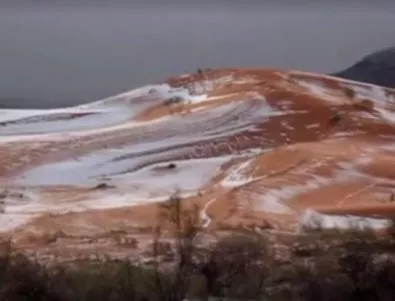 Сняг в Сахара за пръв път от 37 години (Видео)