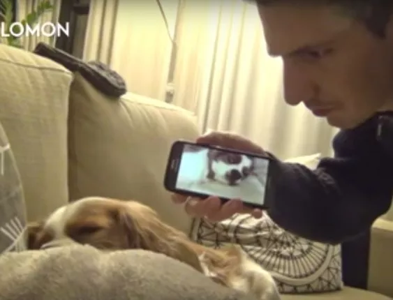 Мъж намира цаката на хъркащото си куче (Видео)