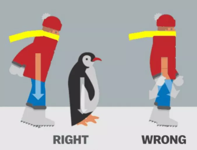 Ходете като пингвини, за да не паднете на леда (Видео)