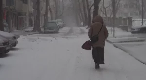 Борисов, страхът и снегът 