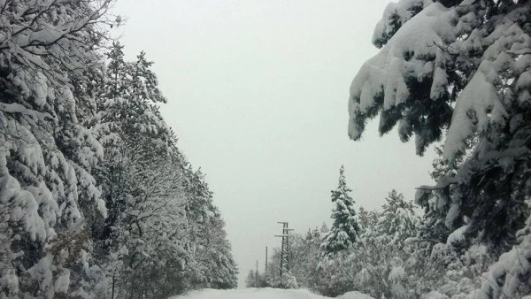 Какво време ни очаква през новата седмица