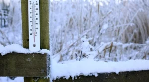 Аномалия: В Чехия измериха -8,5 градуса