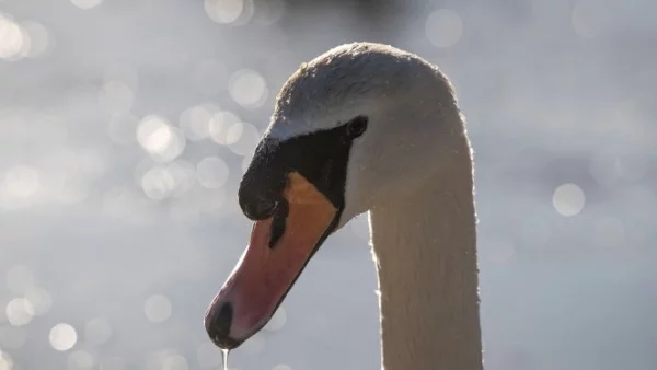 Прогноза за времето - 28 ноември (вторник)