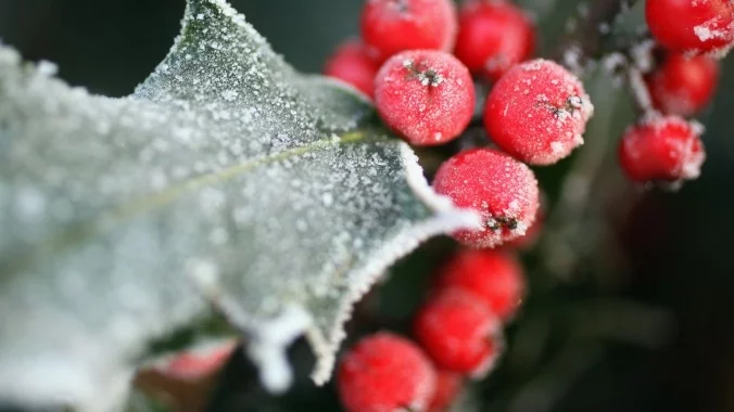 Прогноза за времето - 17 януари (вторник)