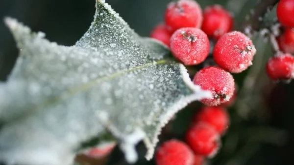 Прогноза за времето - 27 ноември (понеделник)