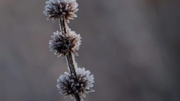 Прогноза за времето - 20 ноември (понеделник)