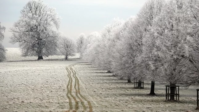 Прогноза за времето - 16 януари (понеделник)