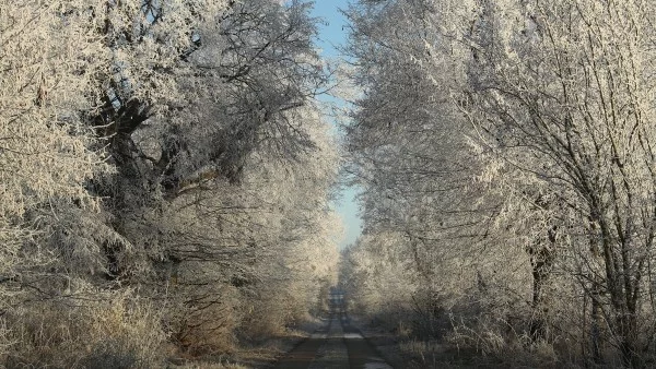 Снегът затрудни трафика в Канада