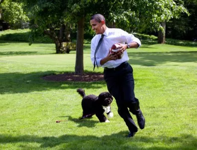 Куче на Барак Обама ухапа гостенка на Белия дом