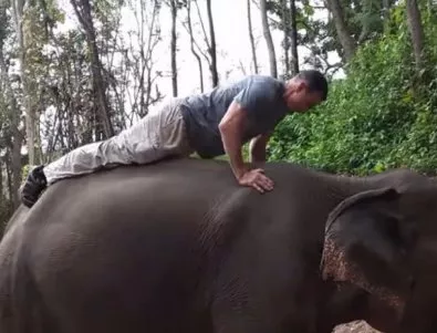 Лицеви опори върху гърба на слон (ВИДЕО)