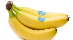 НАП продава 40 тона банани 