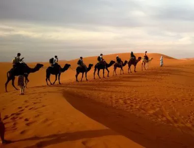 В Израел ще считат камилите за коли, в Турция кръщават дете на референдум