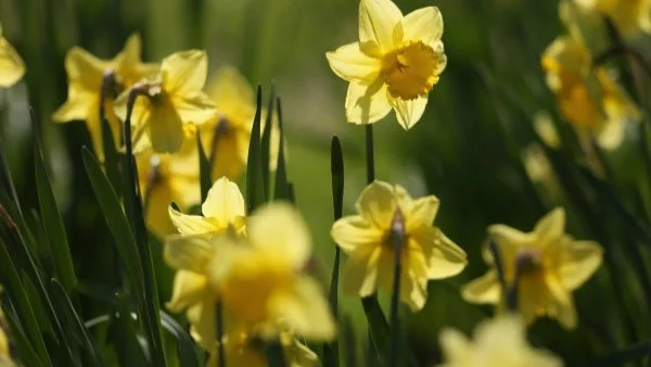 Прогноза за времето - 31 март (петък)