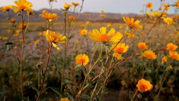 Прогноза за времето - 15 август (вторник)