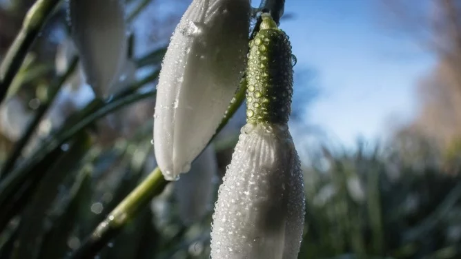 Прогноза за времето - 24 февруари (петък)
