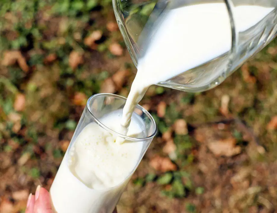 Това мляко е еликсир за чисти дробове и силен имунитет