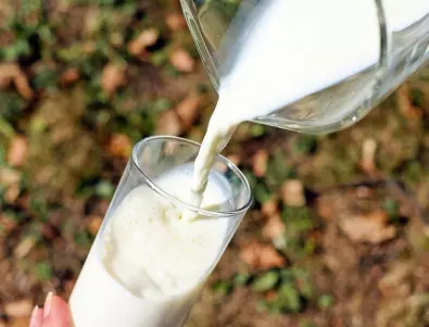 Млекопроизводители: Държавата трябва да се намеси и да подпомогне фермерите и предприятията