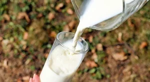 Животновъди получиха половин милион за намаляване на млекопроизводството