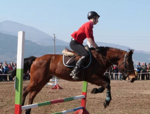 За "най-красив кон" в Асеновград бе обявен Нури ал Малики на Анастас Танев