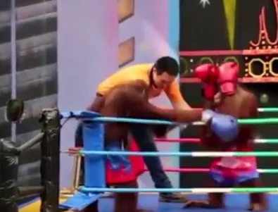 Зоопарк в Тайланд провежда боксови мачове между... маймуни (Видео)