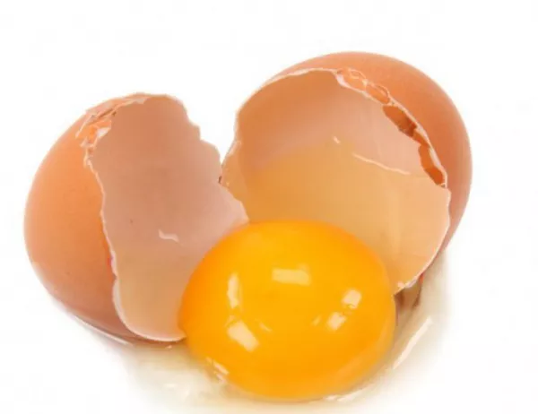 Белгия гарантира, че яйцата й не са заразени