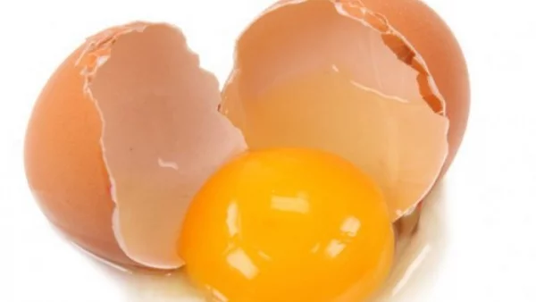 Белгия гарантира, че яйцата й не са заразени