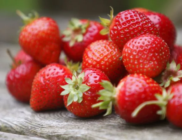 До 2 лв./кг падна цената на черешите и ягодите по пазарите във Варна