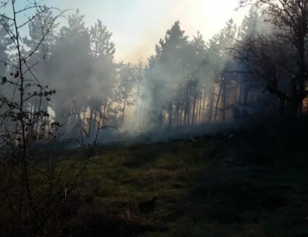 Два големи пожара горят край Тополовград