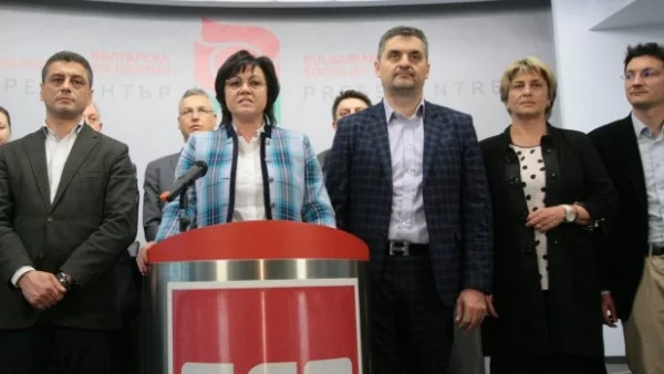 Кучкарникът на Нинова!