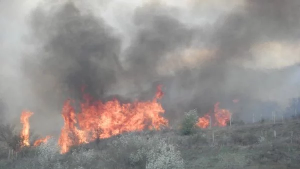 Пети час гори голям пожар край Е-79 и с. Мурсалево