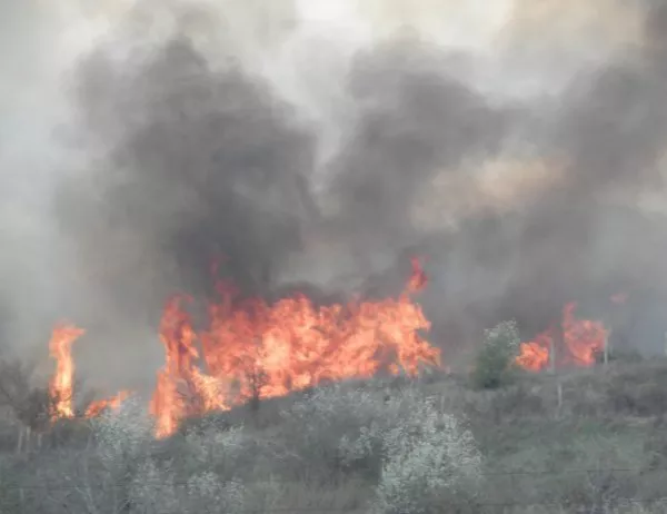 Голям пожар в района на Елин Пелин