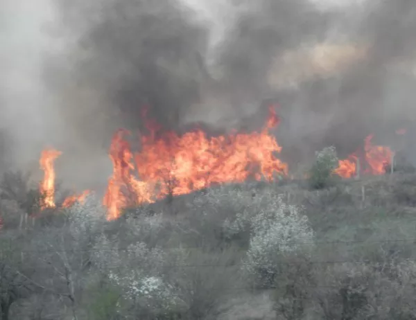 Големи пожари създават сериозни проблеми на Корсика
