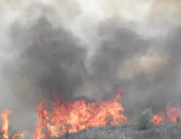 Стотици са евакуирани заради пожар в Ростов на Дон