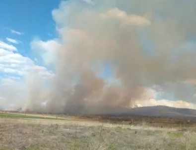 Пожар бушува в овощни градини и лозя край Мурсалево